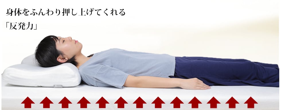 モットン 特徴①