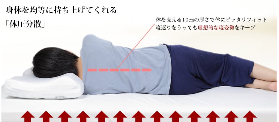 モットン 特徴②