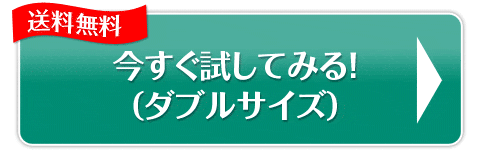 今すぐ試してみる！