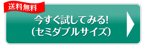 今すぐ試してみる！