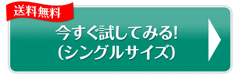 今すぐ試してみる！