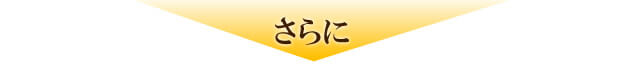さらに