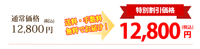 単品　送料無料キャンペーン
