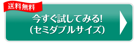 今すぐ試してみる！
