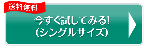 今すぐ試してみる！